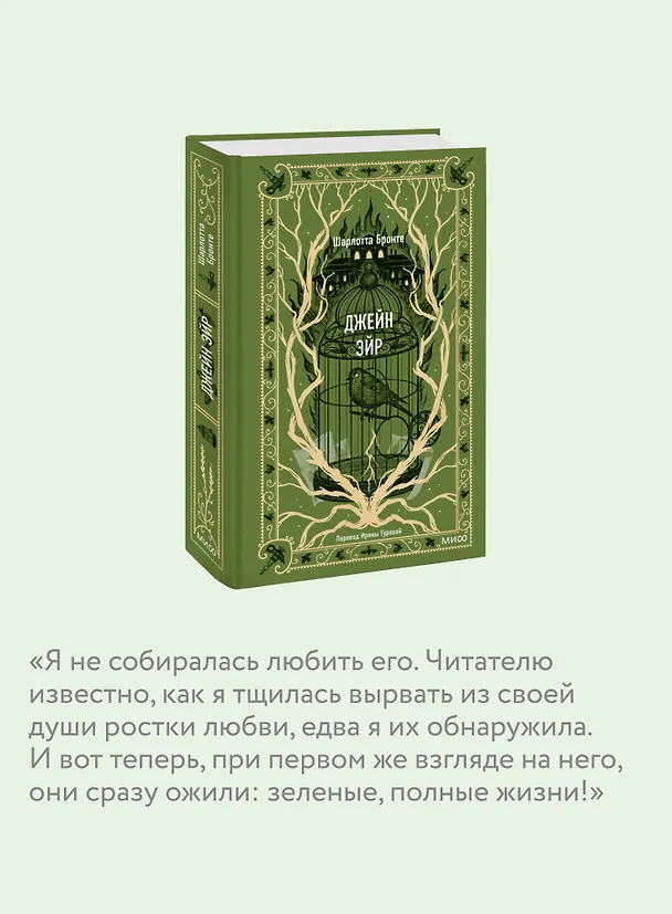 Книга Джейн Эйр. Вечные истории (Шарлотта Бронте) — 9