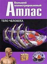 Большой иллюстрированный атлас : Тело человека