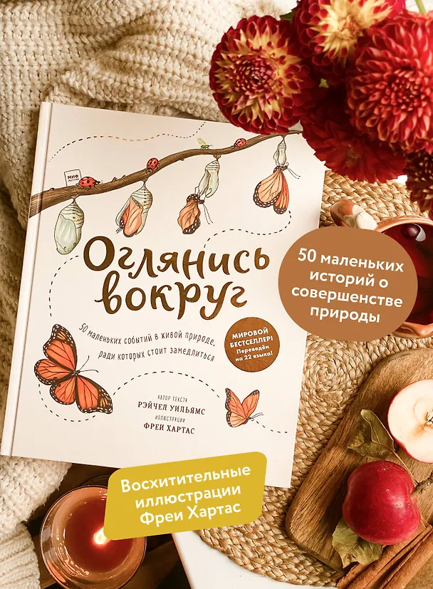 Книга Оглянись вокруг. 50 маленьких событий в живой природе, ради которых стоит замедлиться (Рэйчел Уильямс) — 6