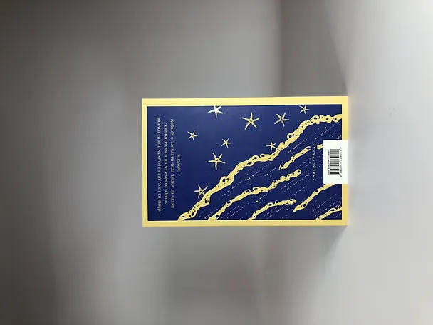Книга Фицджеральд сквозь время (набор из 2-х книг: "Ночь нежна" и "Флоренс Адлер плавает вечно") (Френсис Скотт Фицджеральд) — 11