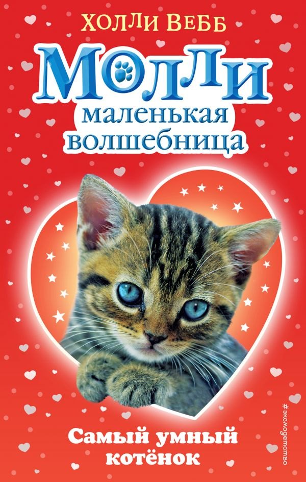 

Самый умный котёнок