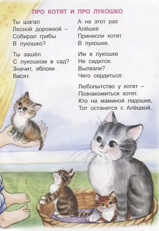 Книга Малыш (Владимир Борисов) — 3