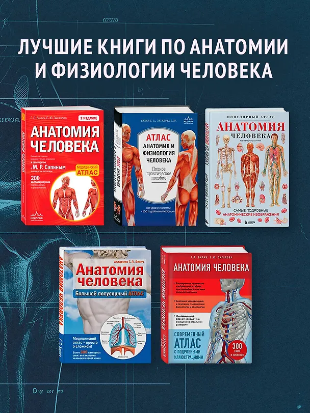 Книга Анатомия человека. Современный атлас с подробными иллюстрациями (Елена Зигалова, Габриэль Билич) — 10