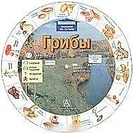 Круг Грибы