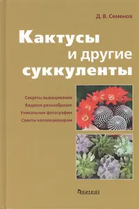 Кактусы и другие суккуленты.
