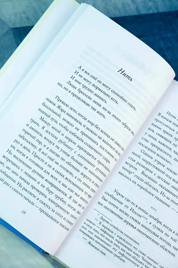 Книга Я не прощаюсь (Хан Ган) — 11