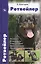 Ротвейлер. История. Стандарты. Содержание. Дрессировка. Правила и нормативы. — 1811306 — 2