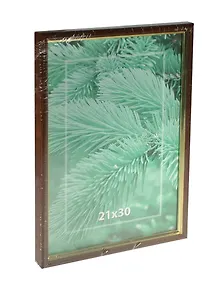 Фоторамка пластик 21*30 бук мрамор, Мир рамок