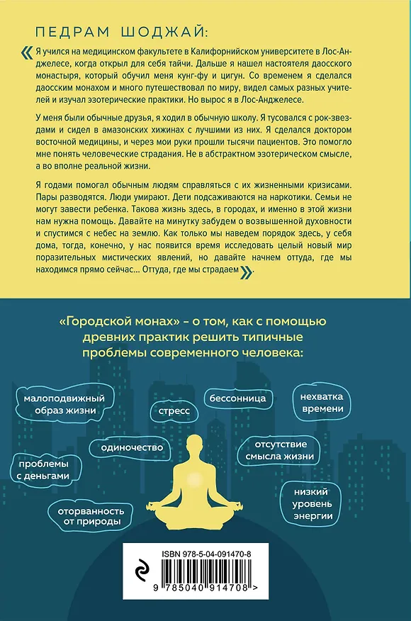 Книга Городской монах (Педрам Шоджай) — 2