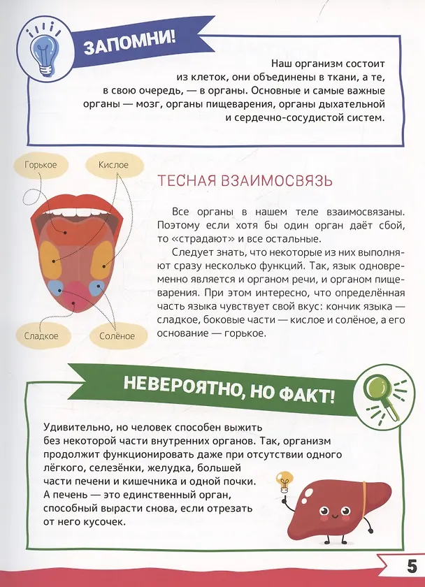 Книга Большая энциклопедия дошкольника с дополненной реальностью (Ирина Барановская, Людмила Доманская, Акира Итикава, Светлана Пирожник) — 9