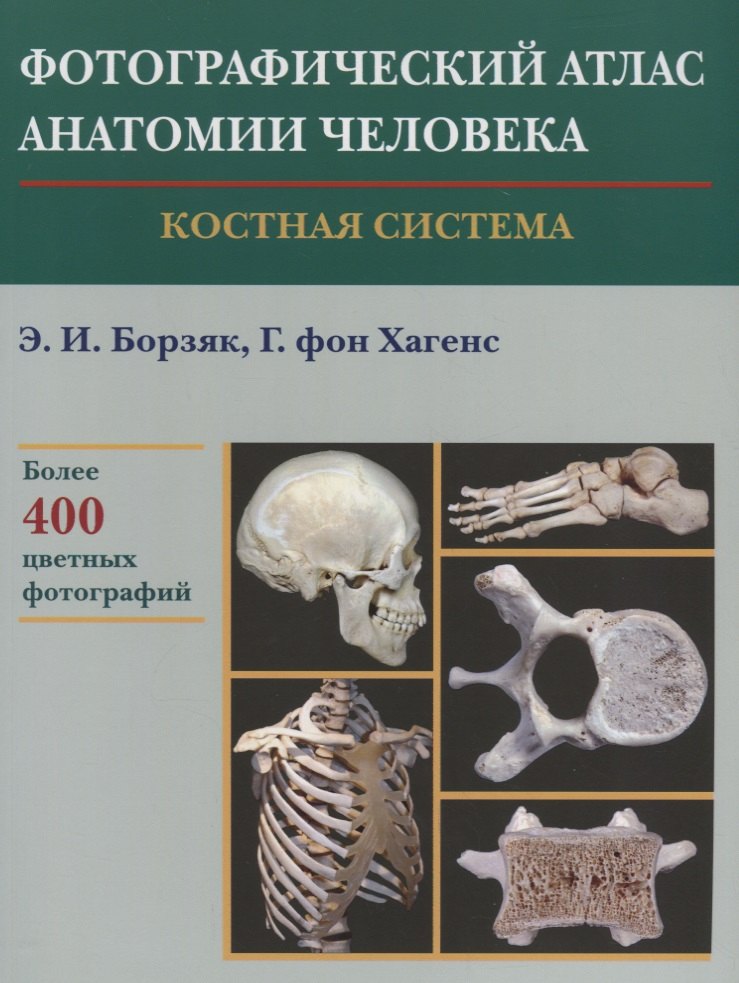 

Фотографический атлас анатомии человека. Костная система
