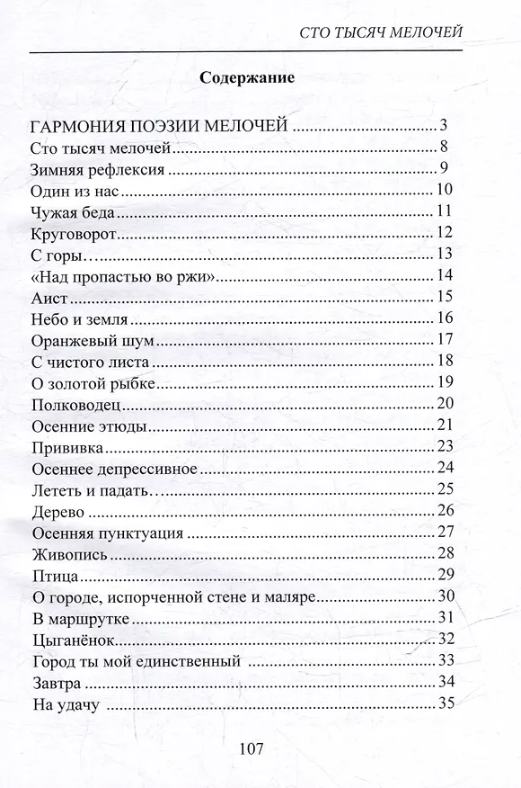 Книга 100 тысяч мелочей. Стихи (Елена Копытова) — 3