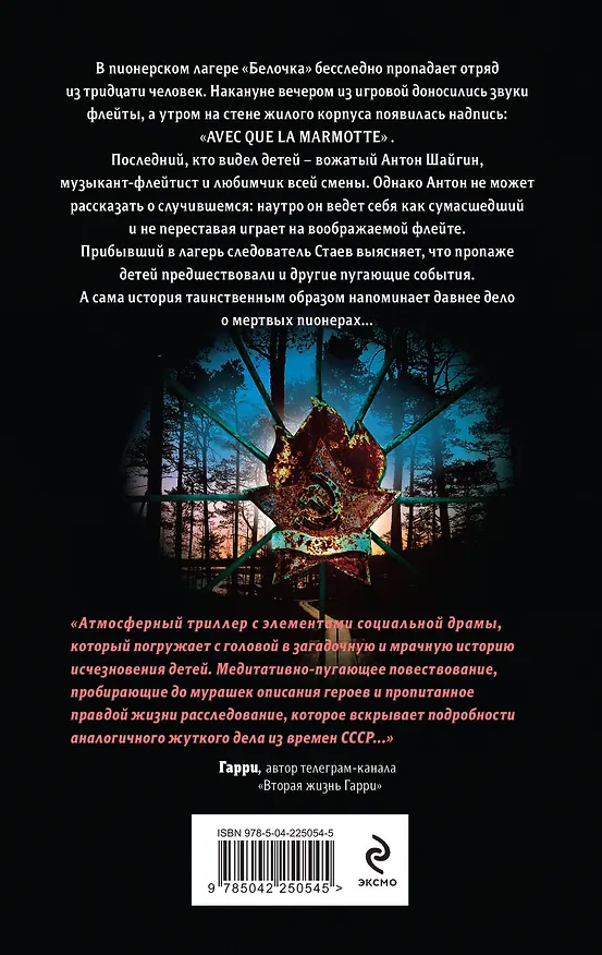 Книга Темная флейта вожатого (Владимир Волков) — 2