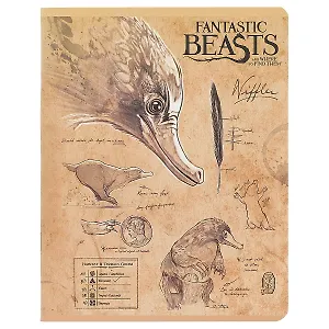Тетрадь в клетку Hatber, "Фантастические твари", 48 листов, в ассортименте