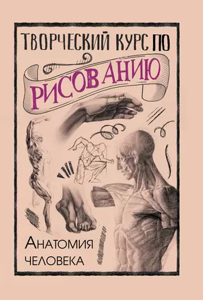 Творческий курс по рисованию. Анатомия человека — 2803893 — 1