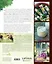 Дикие травы: как найти целебные продукты и создать собственные натуральные лекарства — 2843443 — 2