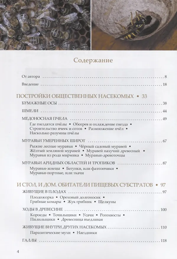 Книга Пчелы, осы, пауки и другие строители () — 2