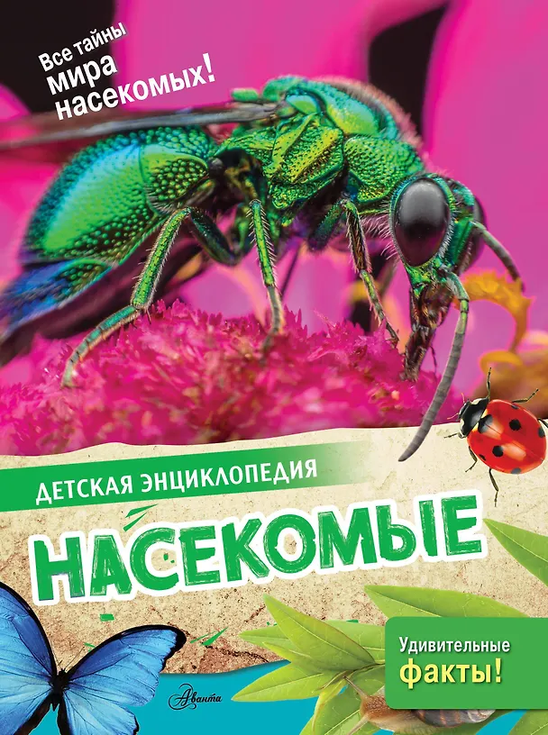 Книга Насекомые () — 1