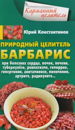 Природный целитель барбарис. При болезнях сердца, почек, печени, туберкулёзе, ревматизме, геморрое, гипертонии, авитаминозе, пневмонии, артрите, радикулите... — 2606529 — 1