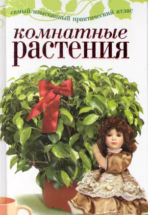 Комнатные растения — 2232759 — 1