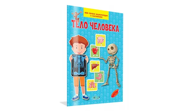 Книга Тело человека. Моя первая энциклопедия с наклейками (Вениамин Медов) — 2
