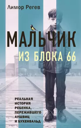 Мальчик из Блока 66: реальная история ребенка, пережившего Аушвиц и Бухенвальд — 3003792 — 1