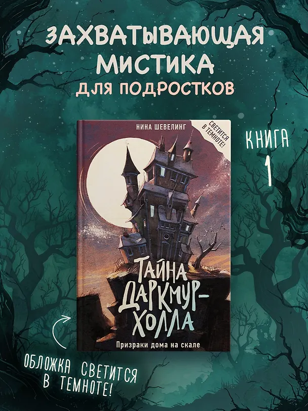 Книга Тайна Даркмур-Холла. Призраки дома на скале (Нина Шевелинг) — 4