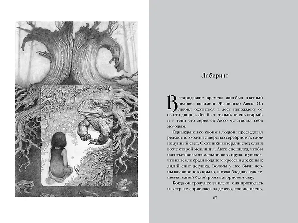 Книга Лабиринт Фавна (Корнелия Функе, Гильермо дель Торо) — 17