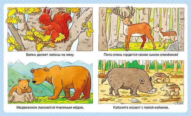 Книга Животные (Эмили Бомон) — 4