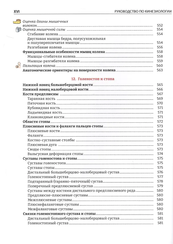 Книга Руководство по кинезиологии. Функциональная анатомия. Биомеханика. Оценка состояния суставов и мышц (Винченцо Пирола) — 5