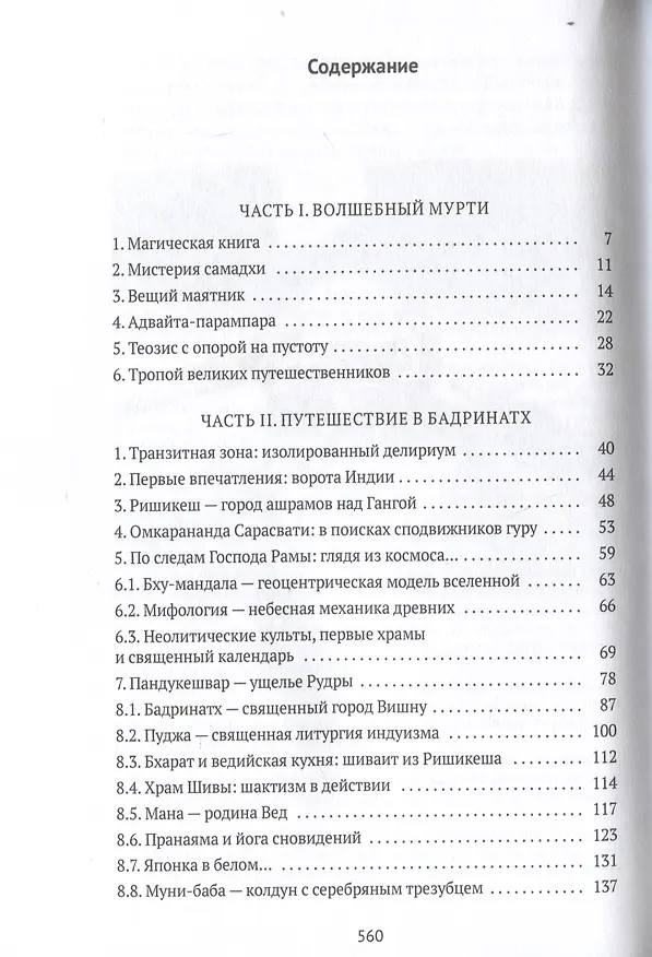 Книга Тайна черного мурти, или У истоков адвайты (Владимир Видеманн) — 3