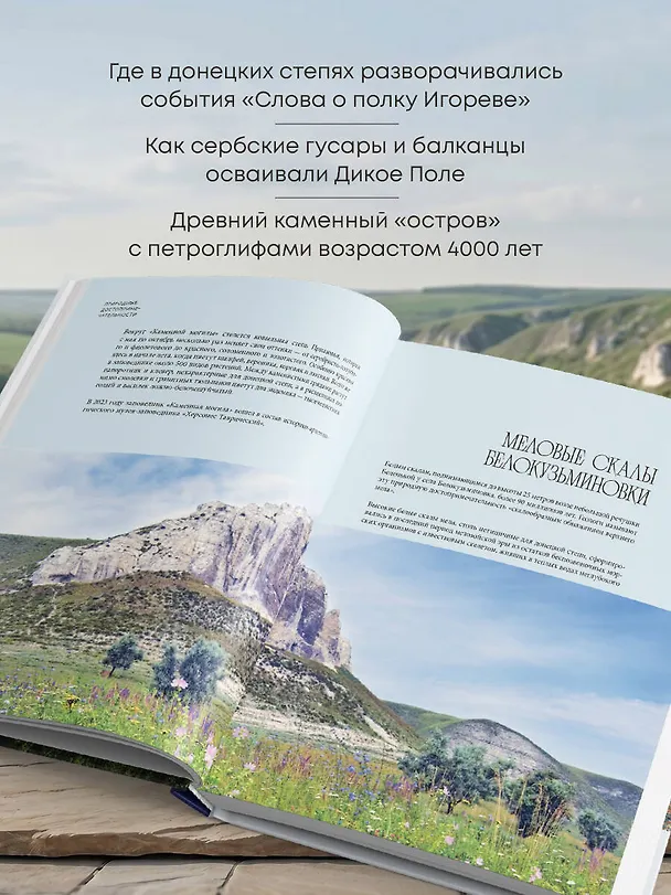 Книга Донецкая и Луганская Республики. Наследие и будущее родного края () — 7