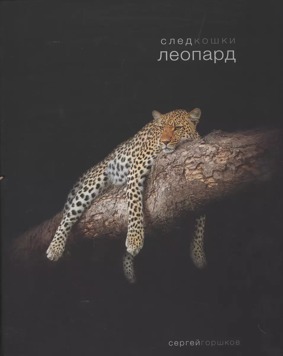 След кошки.Леопард (Сергей Горшков) - купить книгу с доставкой в  интернет-магазине «Читай-город». ISBN: 978-5-906258-08-3