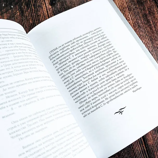 Книга Ведьмак: Башня Ласточки (Анджей Сапковский) — 9