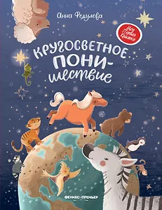 Кругосветное ПОНИшествие