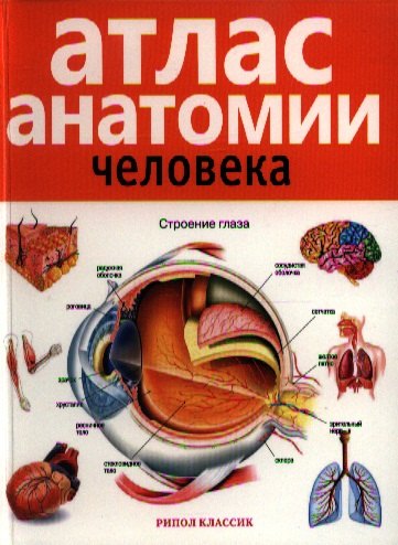 

Атлас анатомии человека . 2-е издание дополненное и переработанное