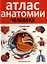 Атлас анатомии человека . 2-е издание дополненное и переработанное — 2338798 — 1