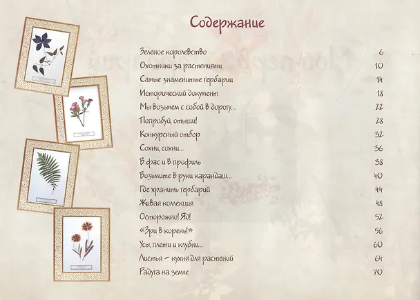 Книга Мой первый гербарий (Ольга Колпакова) — 2