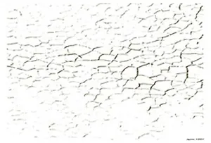 Пленка (1551) с изображен. для светлых поверхностей Кракелюр