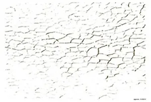 Пленка (1551) с изображен. для светлых поверхностей Кракелюр 2300600