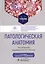 Патологическая анатомия. Учебник — 3000125 — 1