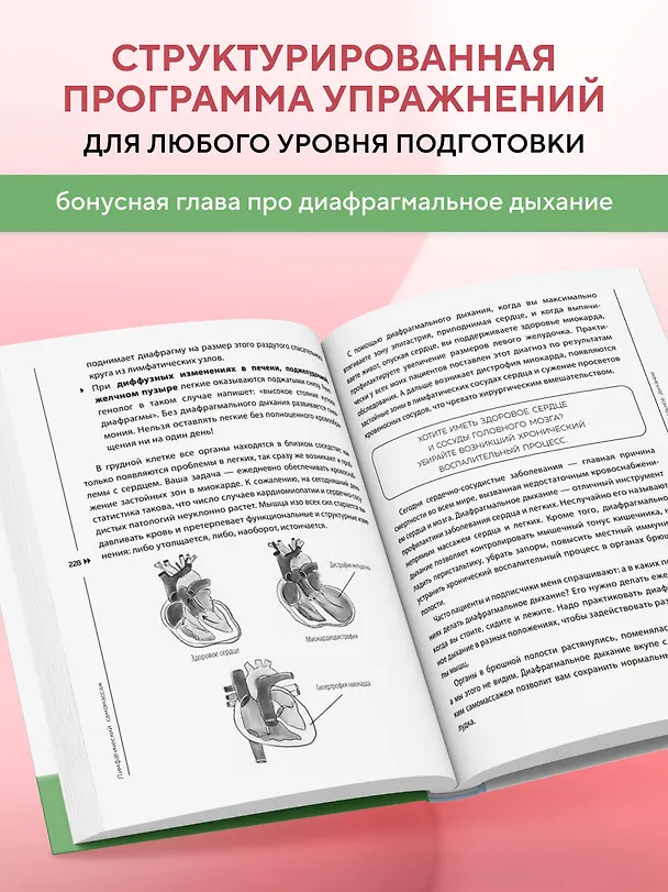 Книга Лимфатический самомассаж. Практики, которые избавят вас от отечности, чувства тяжести и нормализуют пищеварение (Ольга Шишова) — 10