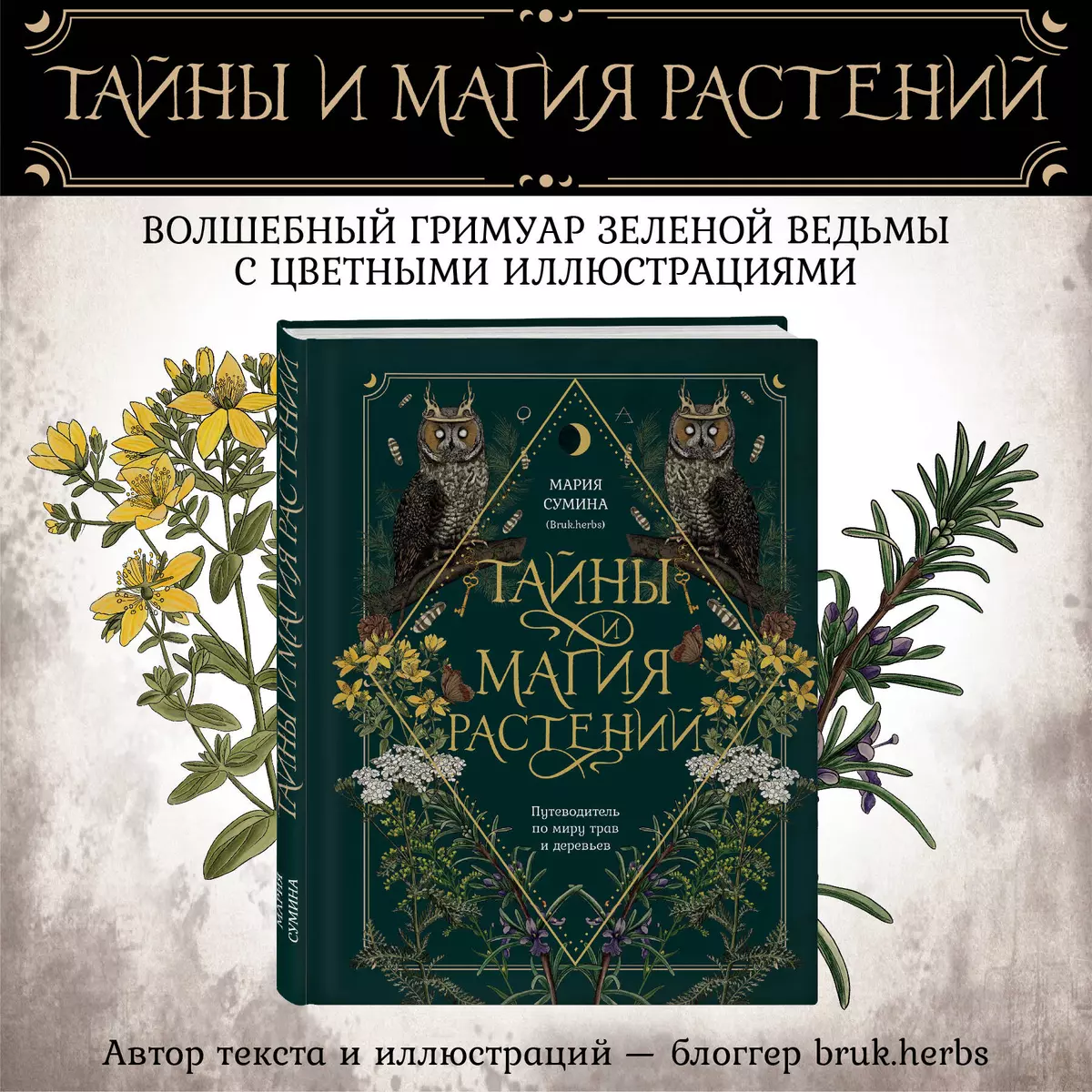 Тайны и магия растений. Путеводитель по миру трав и деревьев (Мария Сумина)  - купить книгу с доставкой в интернет-магазине «Читай-город». ISBN:  978-5-04-193821-5