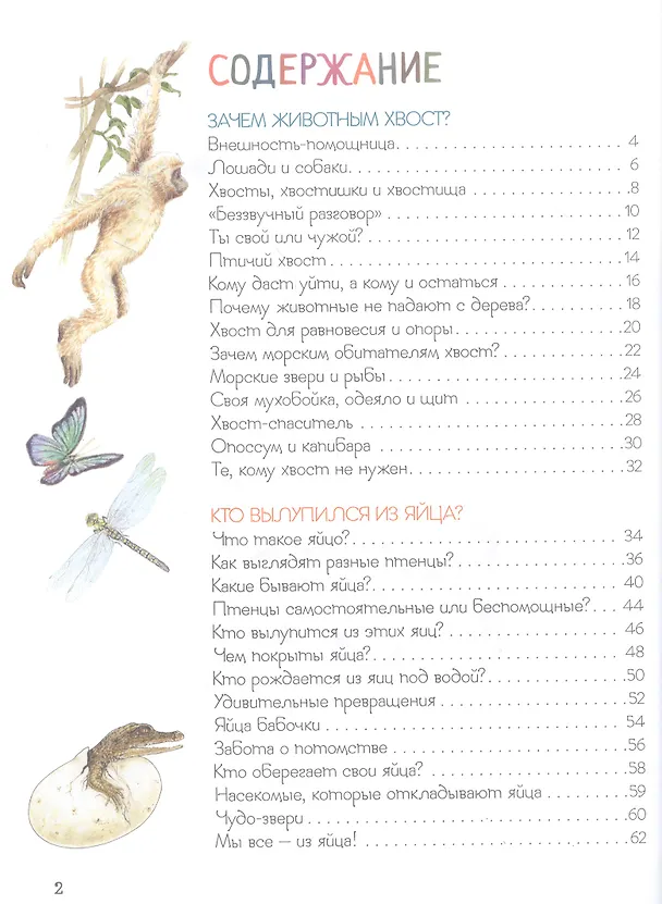 Книга Удивительный мир животных. Энциклопедия для малышей (Ренне) — 2