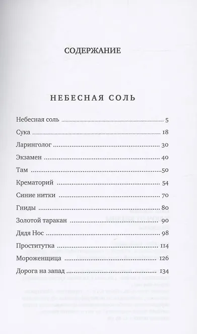 Книга Небесная соль (Илья Масодов) — 2