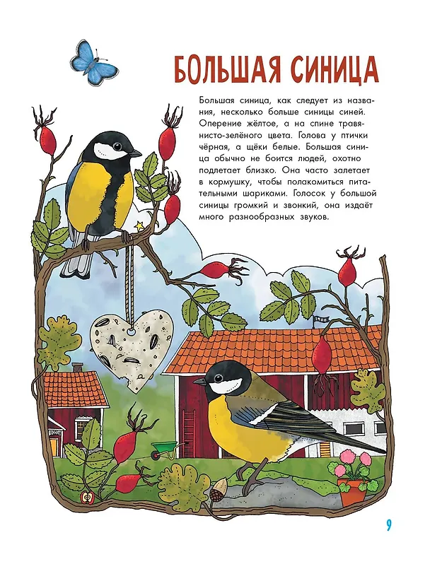 Книга Птицы (Эмма Янссон) — 14