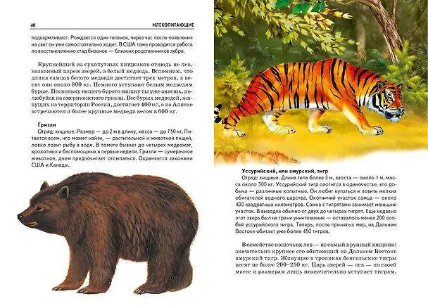 Книга Млекопитающие. Узнай мир (Юлия Дунаева) — 6