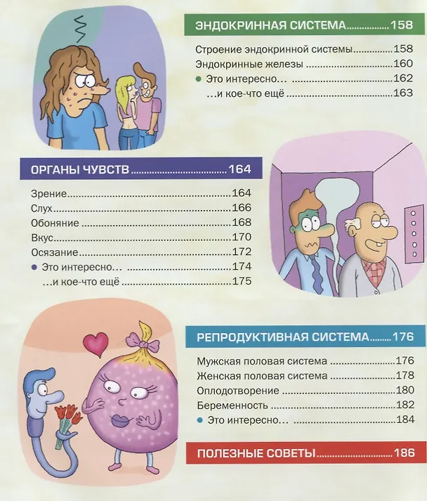 Книга Энциклопедия человека. Как устроено наше тело () — 6