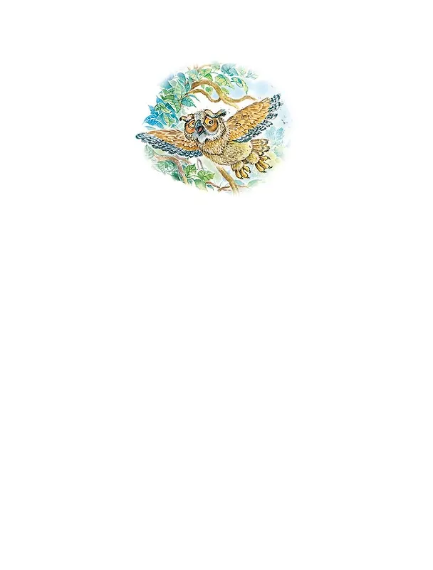 Книга Маленькая Баба-Яга. Маленький Водяной. Маленькое Привидение (Отфрид Пройслер) — 9