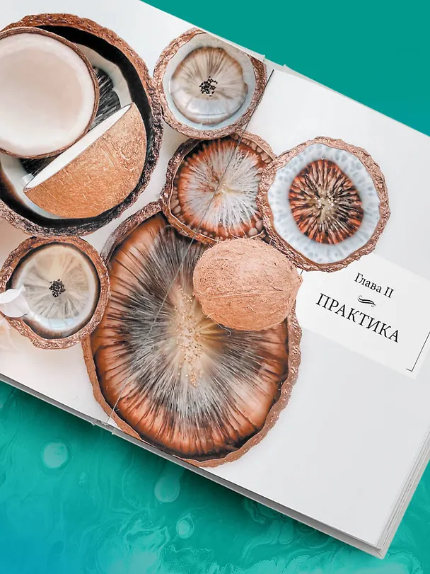 Книга Художественная эпоксидная смола. Resin Art. Самое полное и понятное пошаговое руководство для начинающих и увлеченных (Евгения Копейкина) — 14